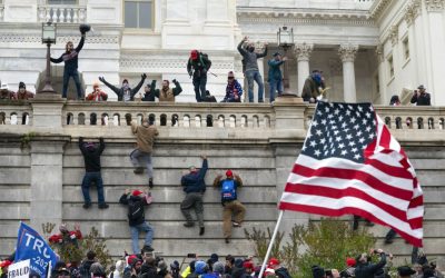 Stochastic Terrorism is a Group Project